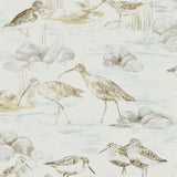 Estuary Birds - 216494