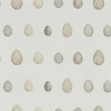 Nest Egg - 216503