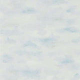 Bamburgh Sky - 216516