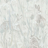 Dune Hares - 216518