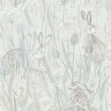 Dune Hares - 216518