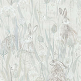 Dune Hares - 216518