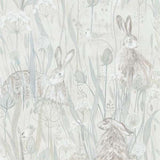 Dune Hares - 216518