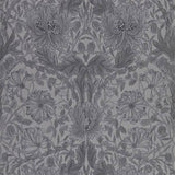 Pure Honeysuckle & Tulip - 216523