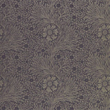 Pure Marigold - 216535