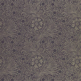 Pure Marigold - 216535