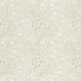 Pure Marigold - 216537