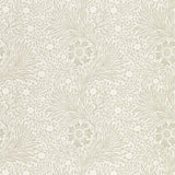 Pure Marigold - 216537