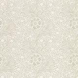 Pure Marigold - 216537