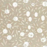 Pure Fruit - 216541