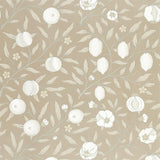 Pure Fruit - 216541