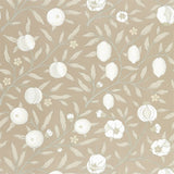 Pure Fruit - 216541