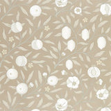 Pure Fruit - 216541