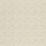 Pure Scroll - 216546
