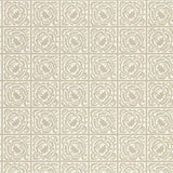 Pure Scroll - 216546