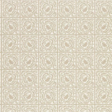 Pure Scroll - 216546