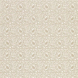 Pure Scroll - 216546