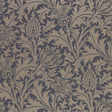 Pure Thistle - 216549