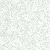 Pure Thistle - 216550