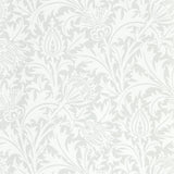 Pure Thistle - 216550