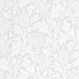 Pure Thistle - 216550