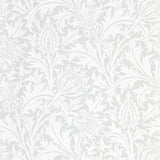 Pure Thistle - 216550