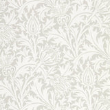 Pure Thistle - 216551