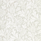 Pure Thistle - 216551