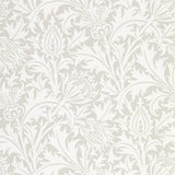 Pure Thistle - 216551