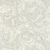 Pure Bachelors Button - 216554