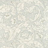 Pure Bachelors Button - 216554