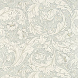 Pure Bachelors Button - 216554