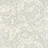 Pure Bachelors Button - 216554