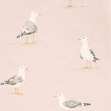 Shore Birds - 216562