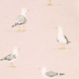 Shore Birds - 216562