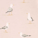 Shore Birds - 216562
