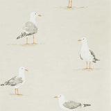Shore Birds - 216563