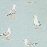 Shore Birds - 216564