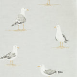Shore Birds - 216565