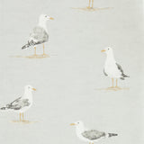 Shore Birds - 216565