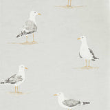 Shore Birds - 216565