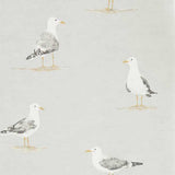 Shore Birds - 216565