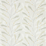 Sea Kelp - 216569