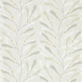 Sea Kelp - 216569