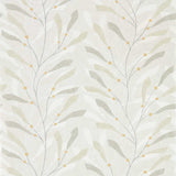 Sea Kelp - 216569