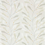 Sea Kelp - 216569