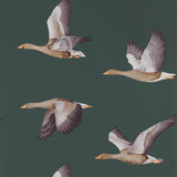 Elysian Geese - 216608