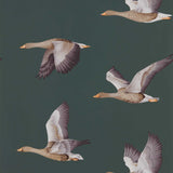Elysian Geese - 216608