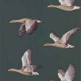Elysian Geese - 216608
