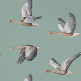 Elysian Geese - 216610